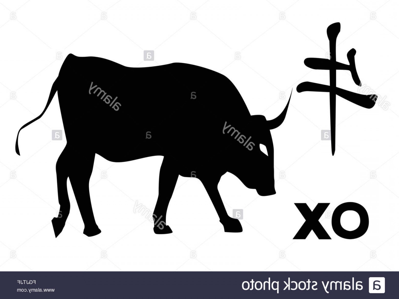 1560x1168 Vector Chinese Ox Shopatcloth