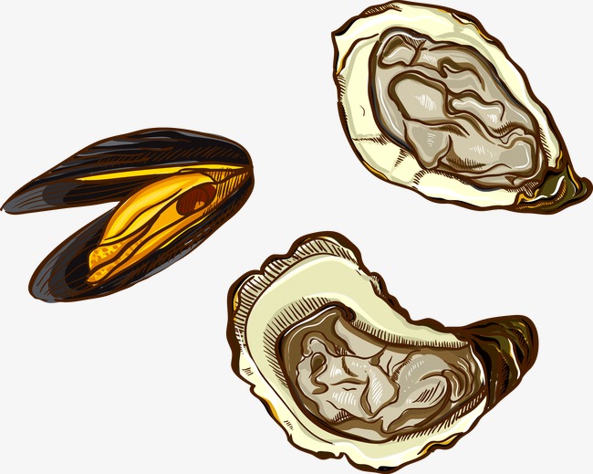 650x519 Oyster Shells, Oysters, Shell, Seafood Png And Vector For Free
