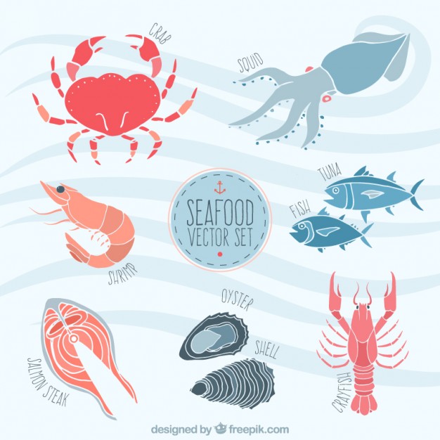 626x626 Oyster Vectors, Photos And Psd Files Free Download