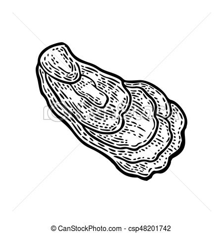 450x470 Oyster Isolated On White Background. Vintage Black Vector