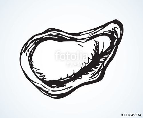 500x412 Oyster. Vector Drawing Stock Image And Royalty Free Vector Files