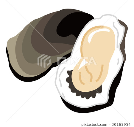450x428 Oyster, Oysters, Vector