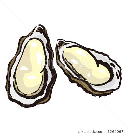 450x468 Oyster, Vector, Vectors