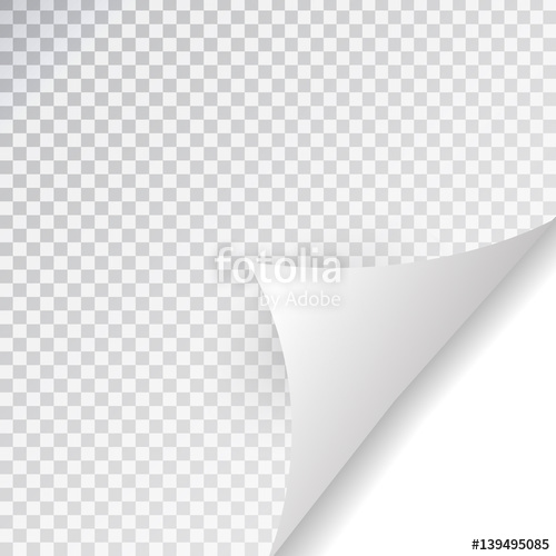 500x500 Vector White Paper