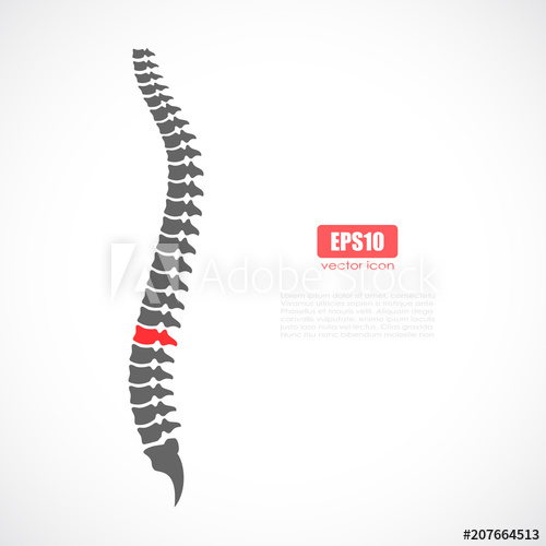 500x500 Spine Pain Vector Icon