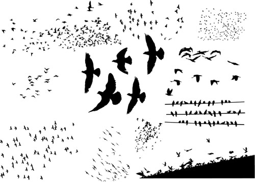 500x358 En Vector Clip De