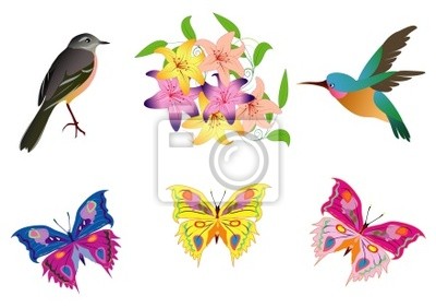 400x282 Vector, Mariposa Y Flores Pinturas Para La Pared Cuadros