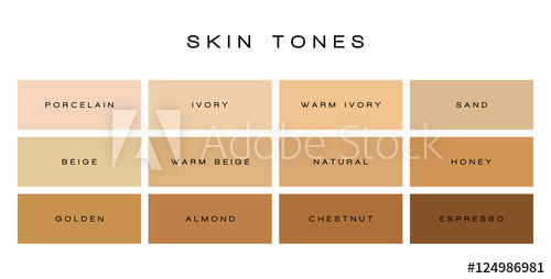 500x254 Skin Tones Color Palette Vector