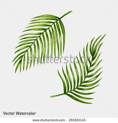 236x246 Palm Branch Image Free Cliparts That You Can Download To You