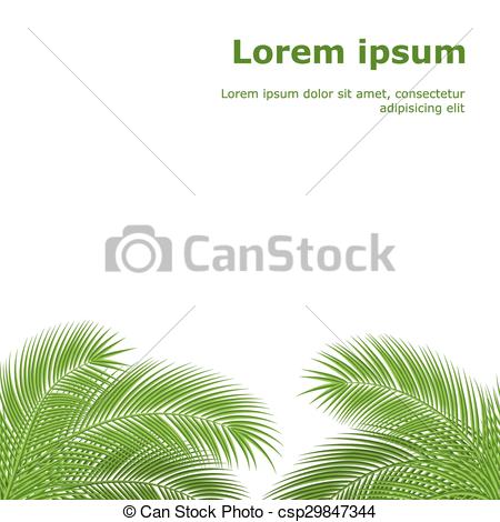 450x470 Palm Branch. Palm Leaves Isolated On White Background. Vector