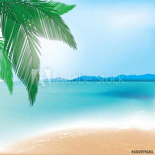 500x500 Tropical Beach And Sea Background With Palm Branch. Vector