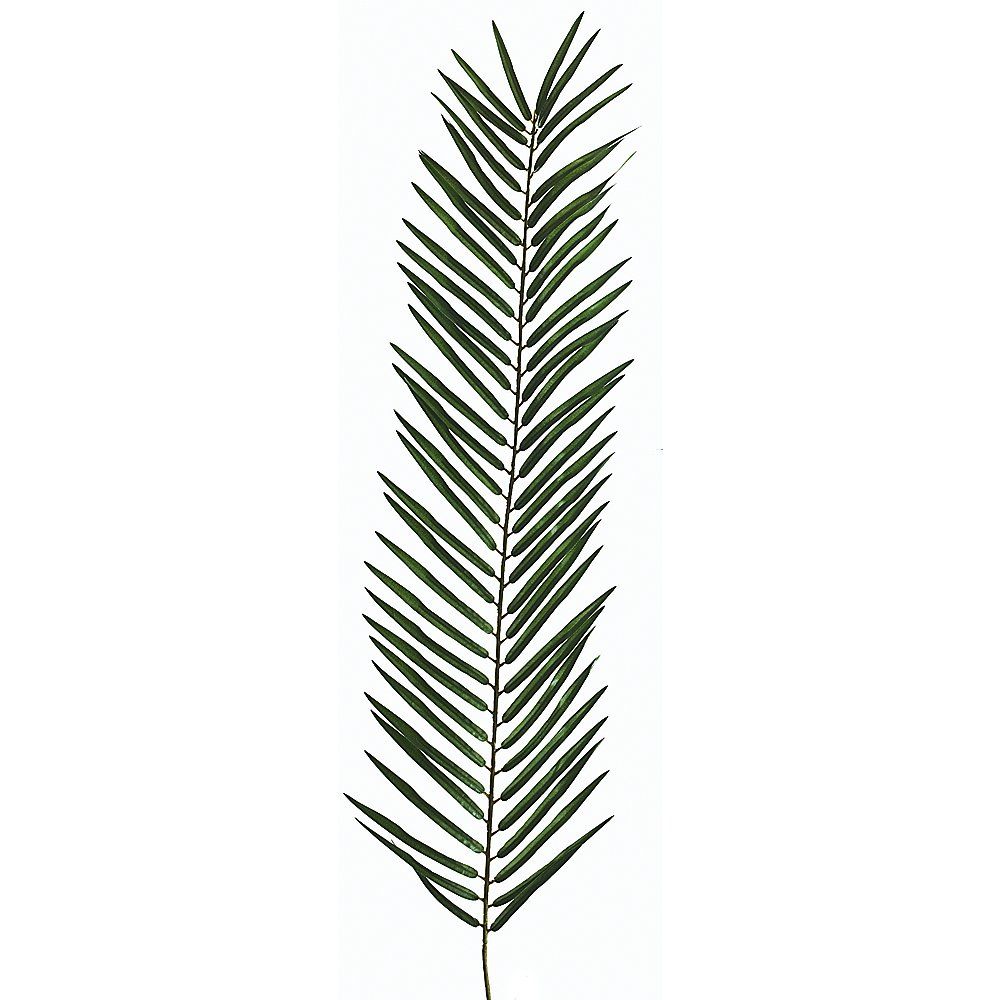 1000x1000 Palm Branch Vector