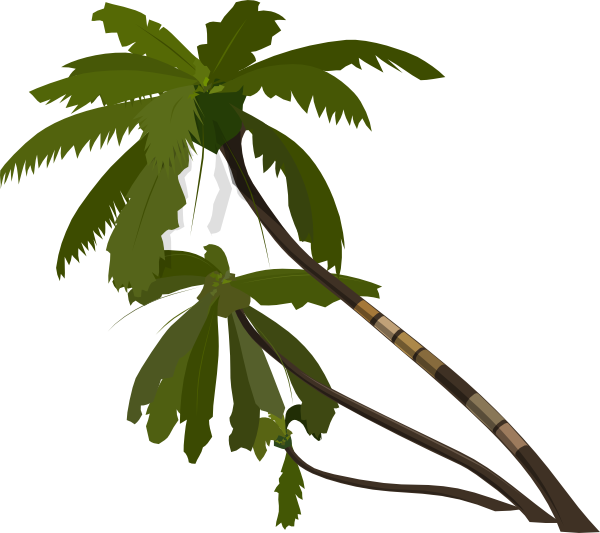 600x533 Branch Vector