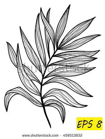 Palm Frond Vector