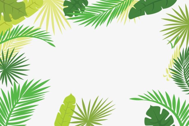 650x433 Cartoon,hand Painted,vector,ai,green,leaf,leaves,palm Leaf,frame