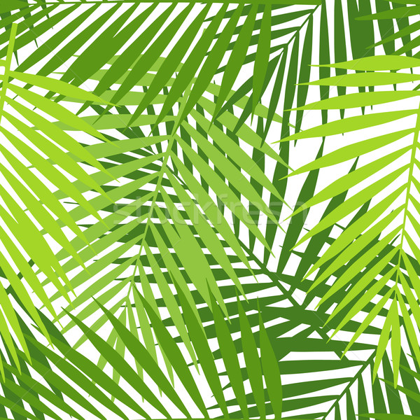 600x600 Palm Leaf Stock Vectors, Illustrations And Cliparts Stockfresh