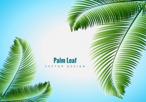 285x200 Palm Leaf Free Vector Graphic Art Free Download (Found 8,753 Files