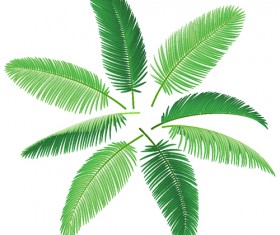 280x235 Palm Leaves Vector