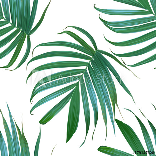 500x500 Vector Palm Leaf Background. Tropical Leaves Seamless Pattern