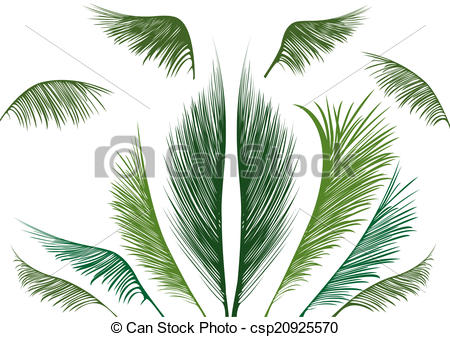 450x337 Green Tropical Palm Leaves On White Background.