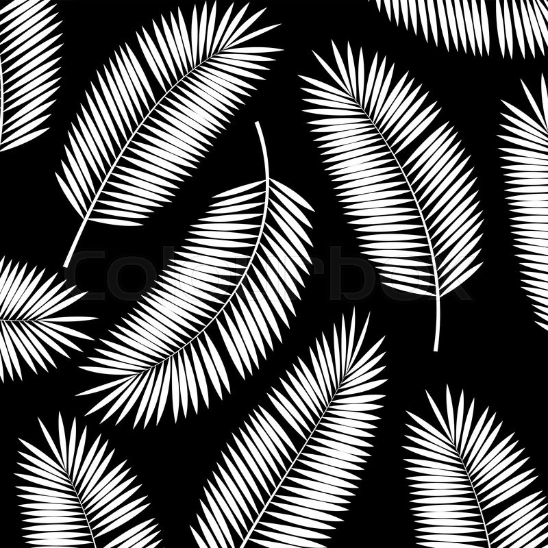 800x800 Palm Leaf Vector Background Illustration Eps10 Stock Vector