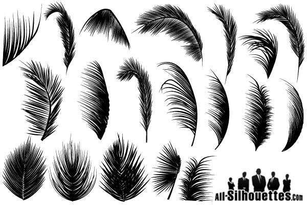 600x400 Palm Leaves Vector Free 123freevectors