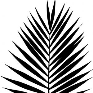 300x300 Photostock Vector Palm Leaf Vector Illustration Black And White
