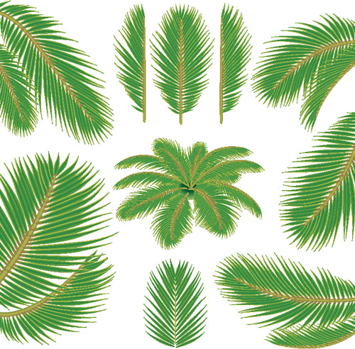 500x492 Set Of Green Palm Leaves Vector Free Vector In Adobe Illustrator