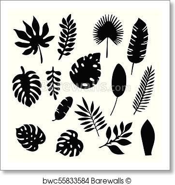 362x382 Art Print Of Palm Leaves Silhouettes Set Isolated On White