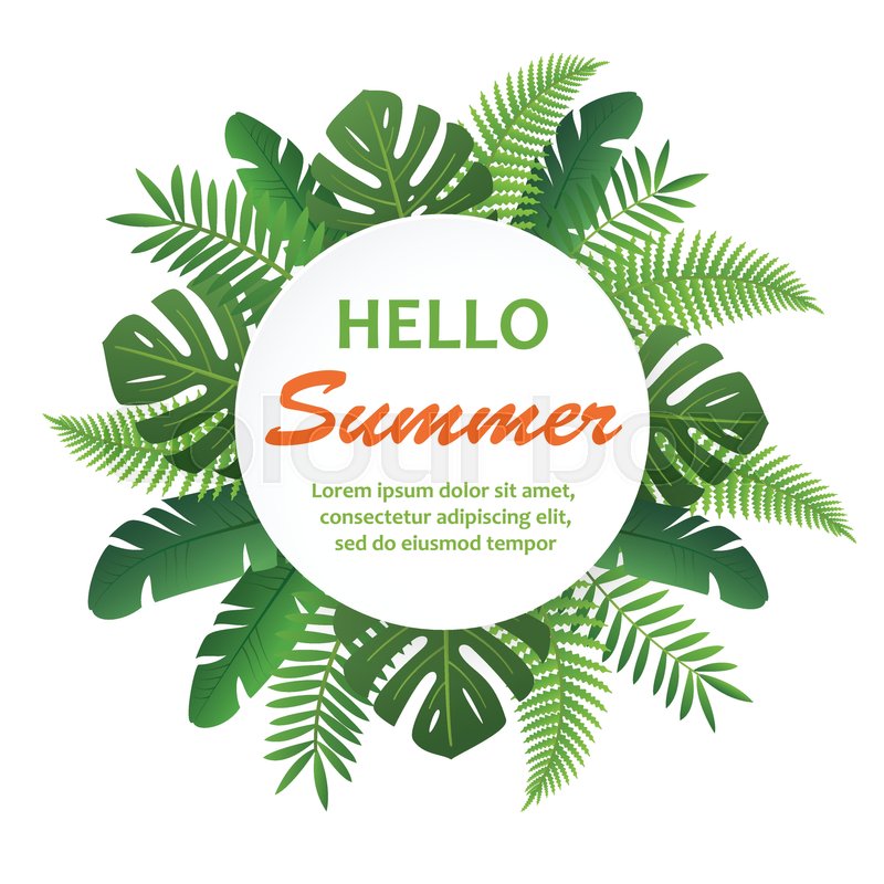 800x800 Trendy Summer Tropical Leaves. Vector Tropical Background With