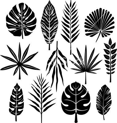 380x400 Tropical Leaf Vector 638919