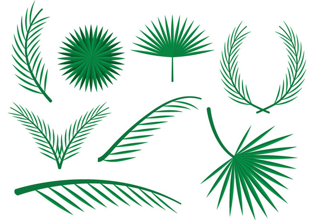 632x443 Free Palm Leaves Vector Ornaments Free Vector Download 385263