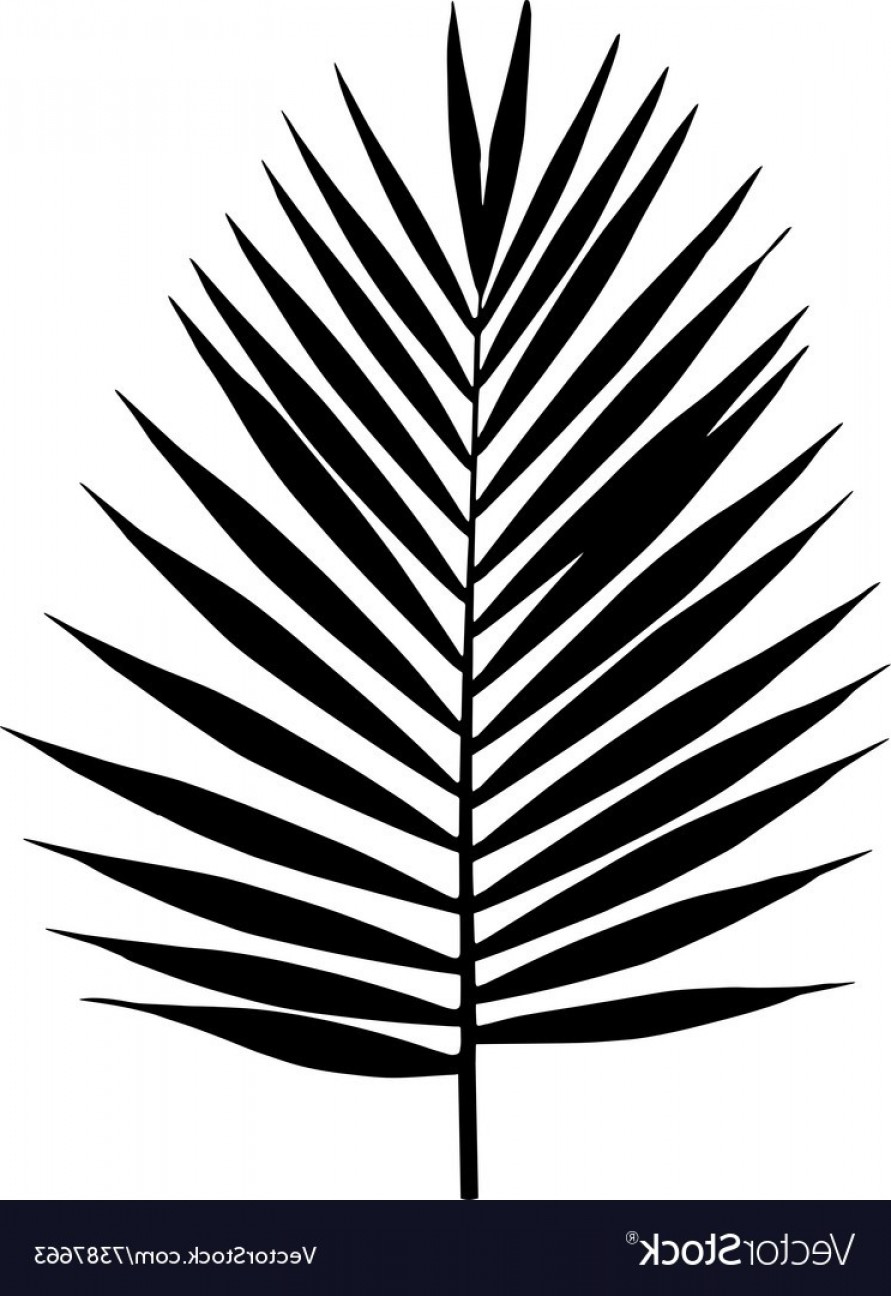 891x1296 Palm Leaf Silhouette Tropical Leaves Vector Shopatcloth