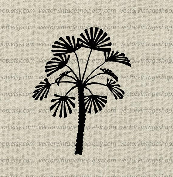 570x584 Palm Tree Vector Clipart Tropical Silhouette Clip Art Etsy