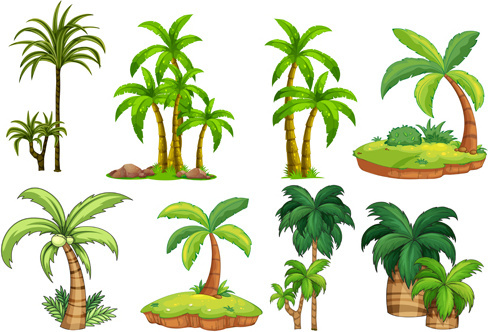 488x332 Palm Tree Free Vector Download (5,302 Free Vector) For Commercial