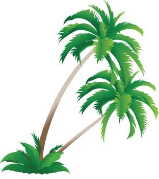 312x350 Free Palm Tree 4 Clipart And Vector Graphics