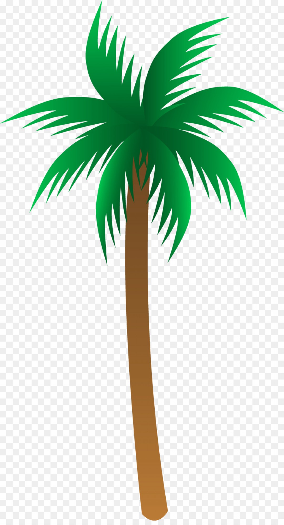 1080x1992 Free Tree Vector Art Shopatcloth