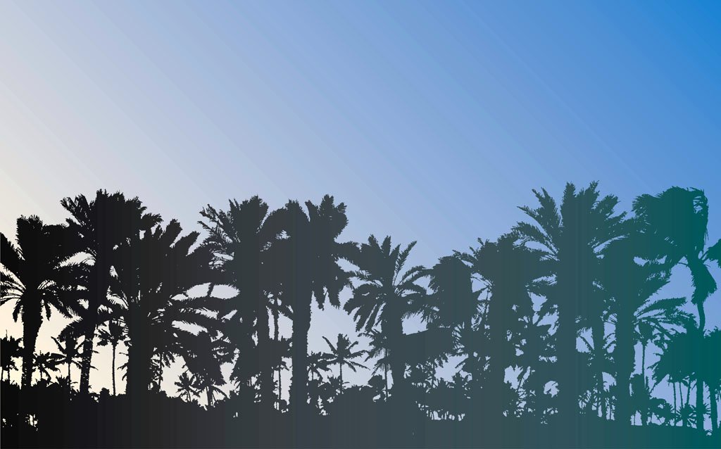 1024x638 Free Palm Trees Vector Vector Art Amp Graphics