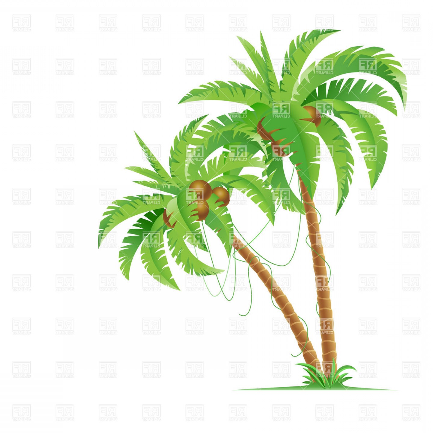 Palm Tree Vector Art at GetDrawings | Free download