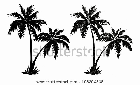 450x274 How To Draw A Palm Tree Silhouette Awesome Palm Trees Vector