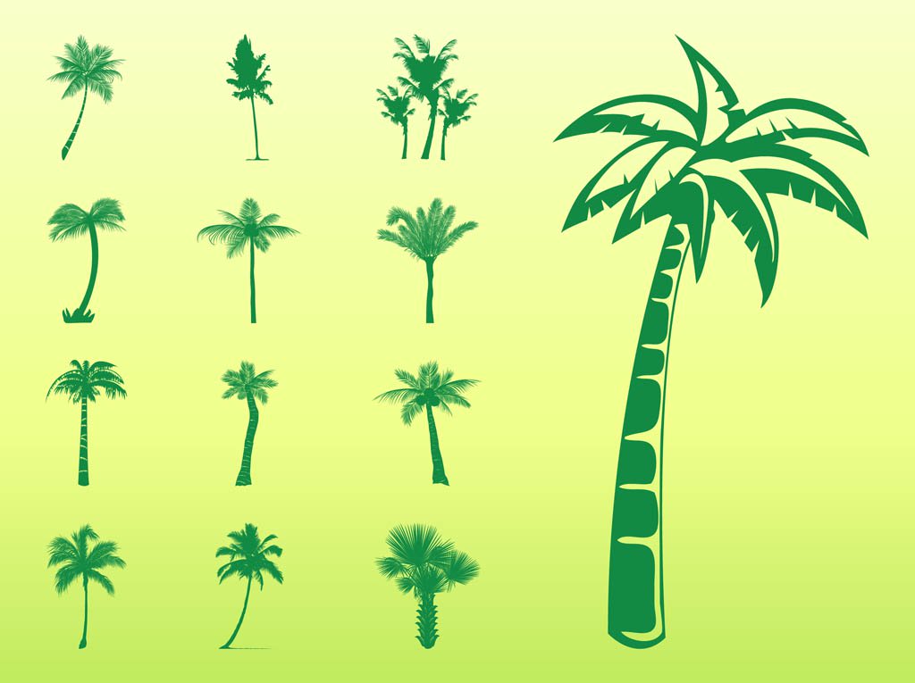1024x765 Palm Trees Silhouettes Set Vector Art Amp Graphics