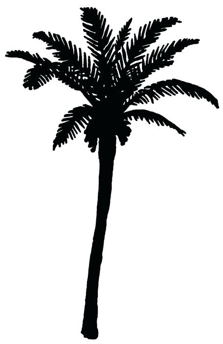454x700 Results For Free Palm Tree Vector Silhouette