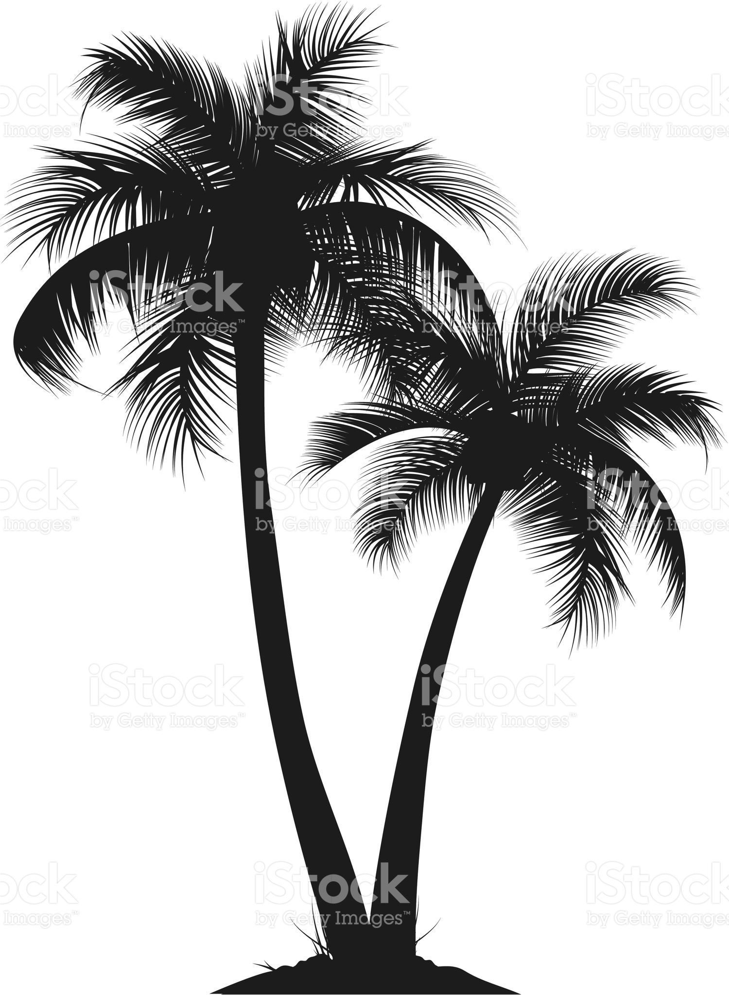 1500x2048 Two Vector Silhouette Of Palm Trees. Smart Layers And Elements