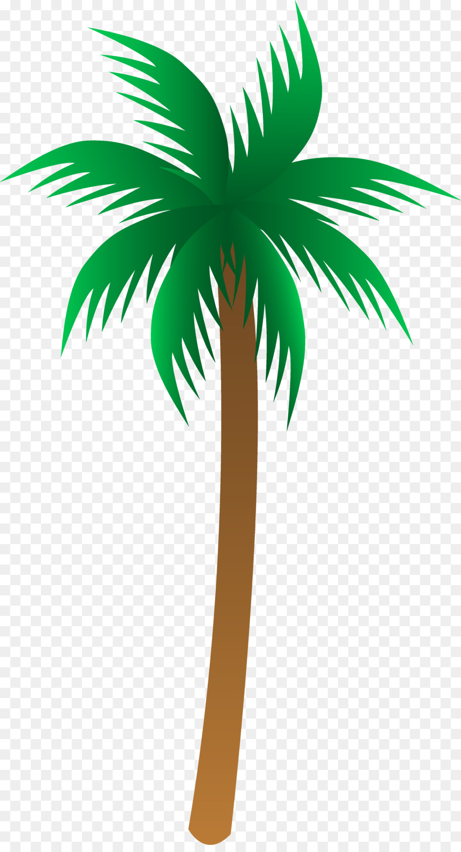 900x1660 Arecaceae Tree Clip Art