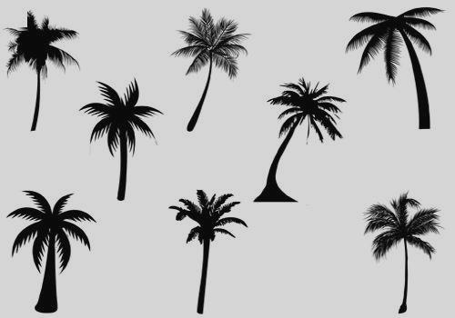 500x350 Clip Art Palm Tree Vector Art Ueeypne