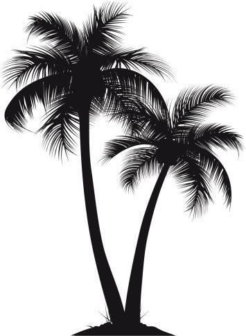 Palm Tree Vector Free at GetDrawings | Free download