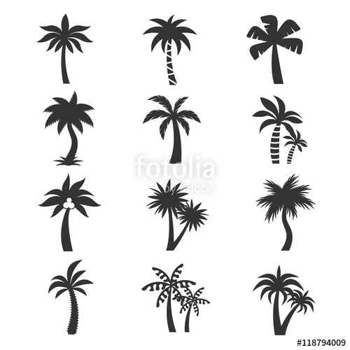 500x500 Tropical Palm Tree Vector Icons Set. Silhouettes On The White