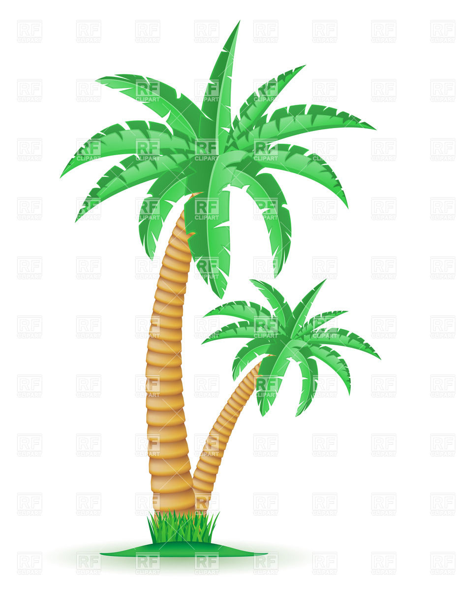 933x1200 Tropical Palm Trees Vector Image Vector Artwork Of Plants And