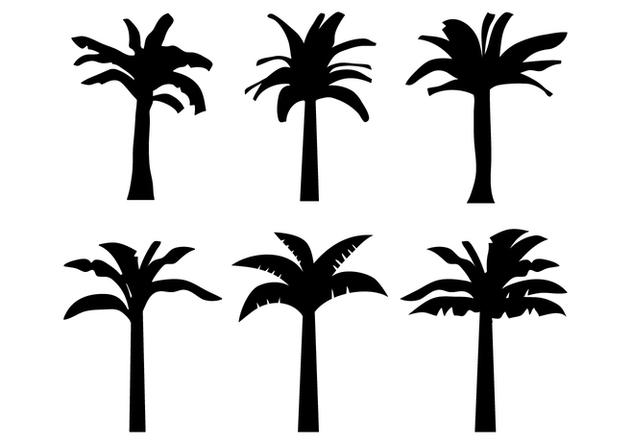 632x443 Banana Tree Vector Free Vector Download 339355 Cannypic