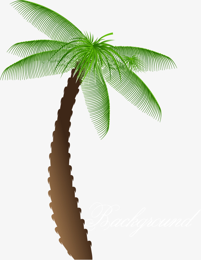 650x838 Cartoon Palm Tree, Cartoon Vector, Palm Vector, Tree Vector Png